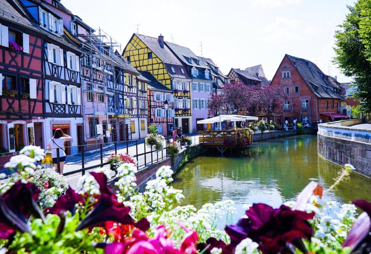 "Les Gites Cote Blind" Tout Confort Proche Colmar Bischwihr Exterior foto