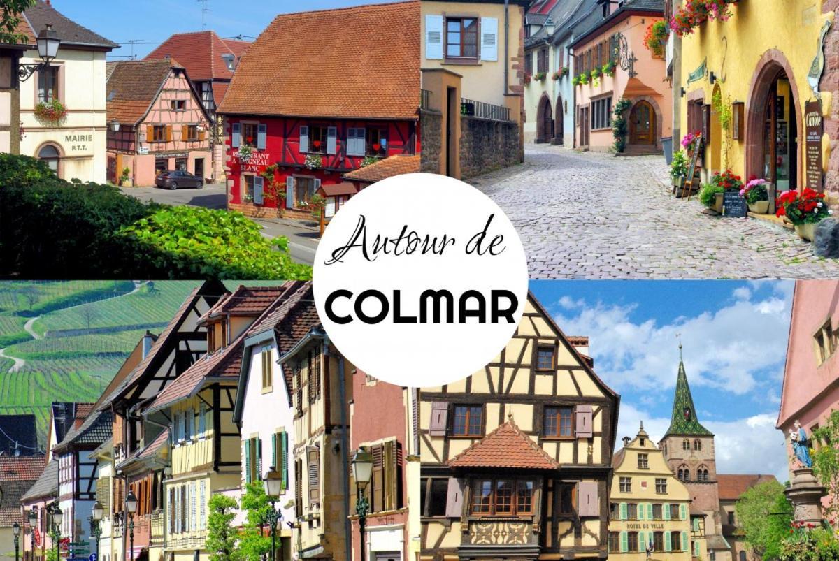 "Les Gites Cote Blind" Tout Confort Proche Colmar Bischwihr Exterior foto