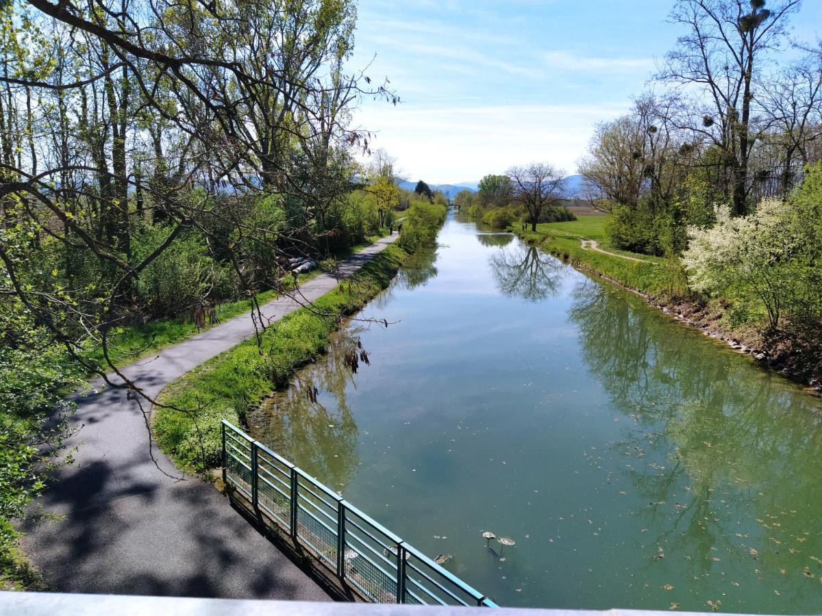 "Les Gites Cote Blind" Tout Confort Proche Colmar Bischwihr Exterior foto