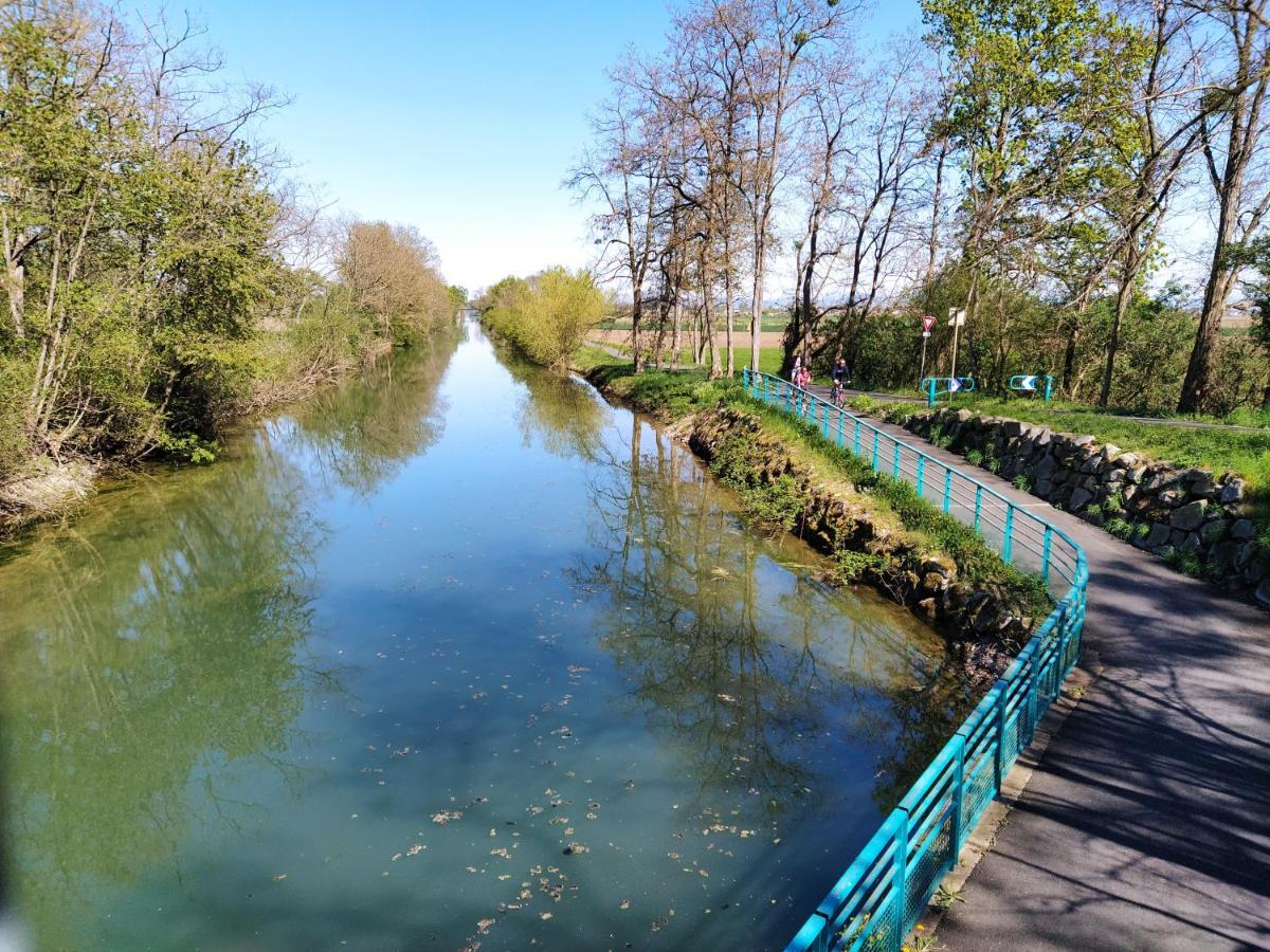 "Les Gites Cote Blind" Tout Confort Proche Colmar Bischwihr Exterior foto