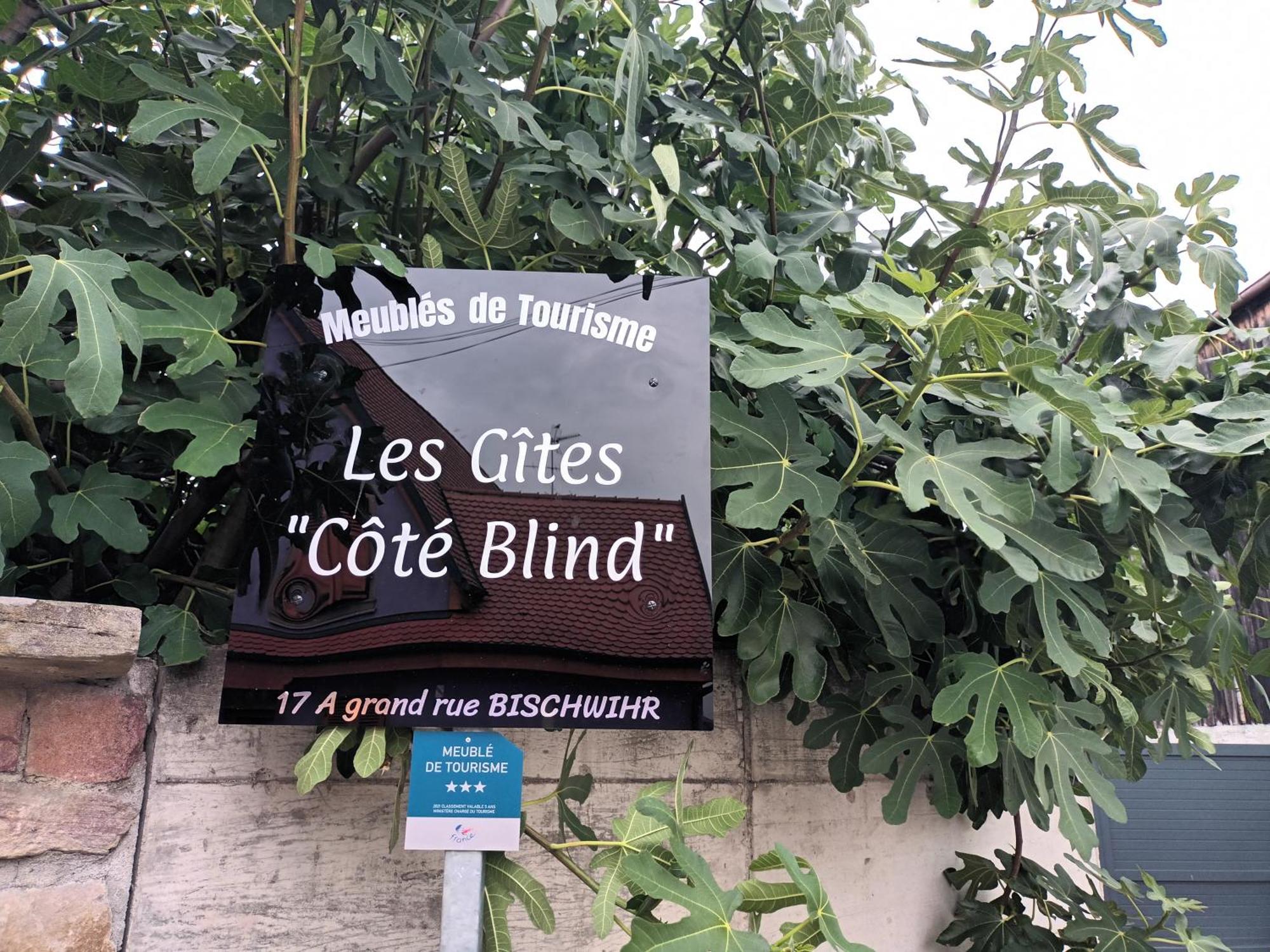 "Les Gites Cote Blind" Tout Confort Proche Colmar Bischwihr Exterior foto